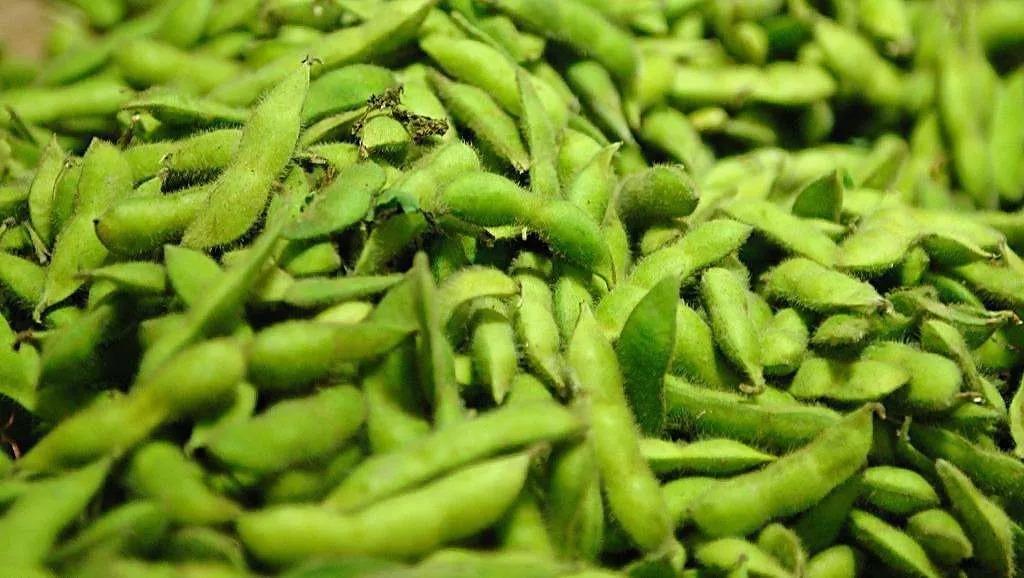 海关总署：允许进口老挝新鲜豆类(附检验检疫要求)