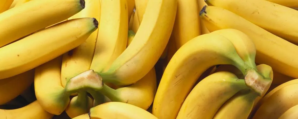 【公告】关于进口越南鲜食香蕉植物检疫要求的公告