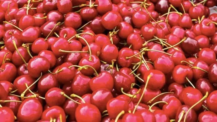 【公告】关于进口巴基斯坦鲜食樱桃植物检疫要求的公告