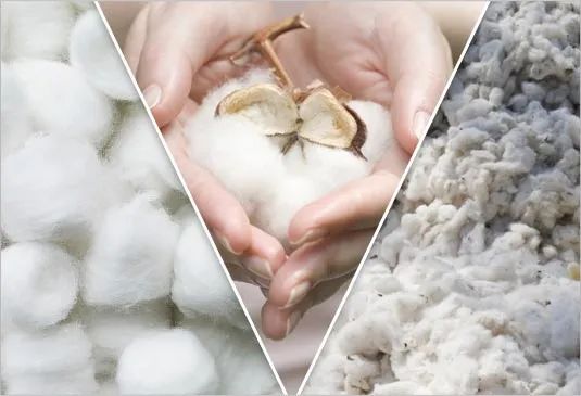 【商品检验】进口棉花实验室检验具体检什么？