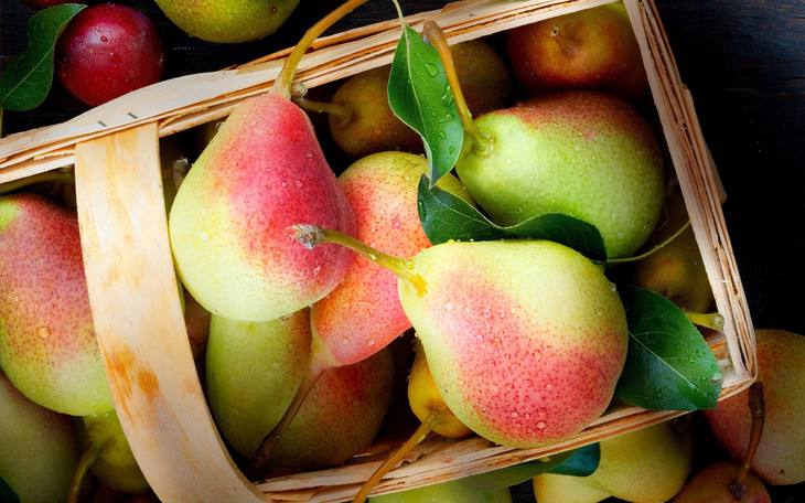 新公告 | 允许符合相关要求的南非鲜梨进口