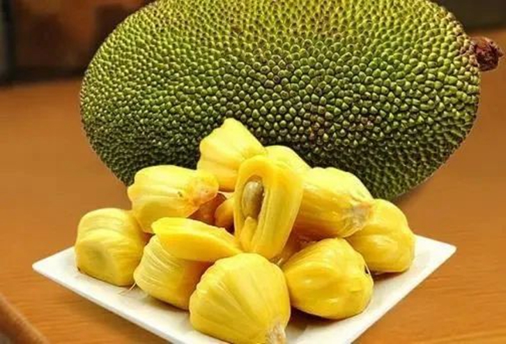 关于进口马来西亚鲜食菠萝蜜植物检疫要求的公告